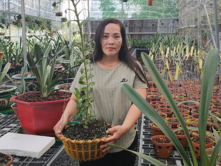 Ho kinh doanh Nguyen Ngoc Phuong Anh chia se cach chon cay canh dep hinh anh