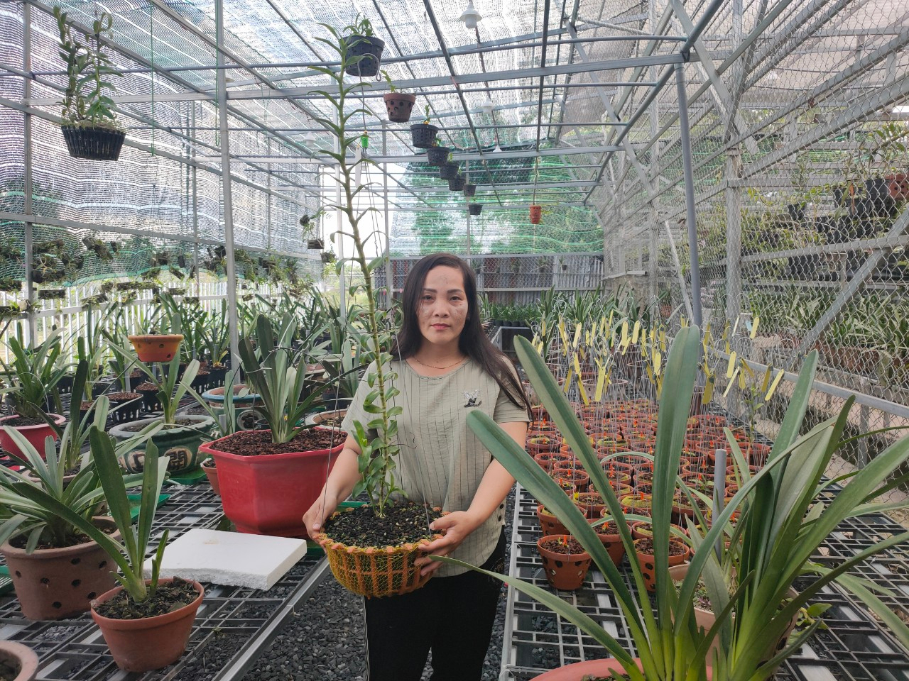 Nguyen Ngoc Phuong Anh anh 1