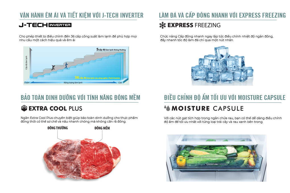 Sharp,  tu lanh diet khuan anh 3
