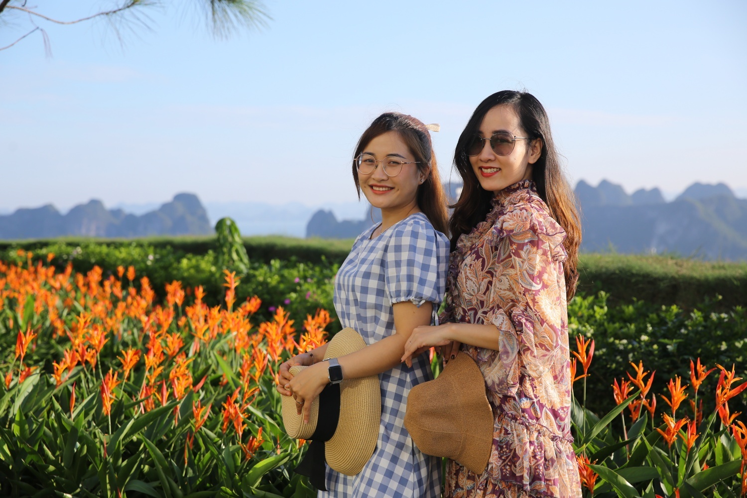FLC Ha Long,  Quang Ninh anh 7