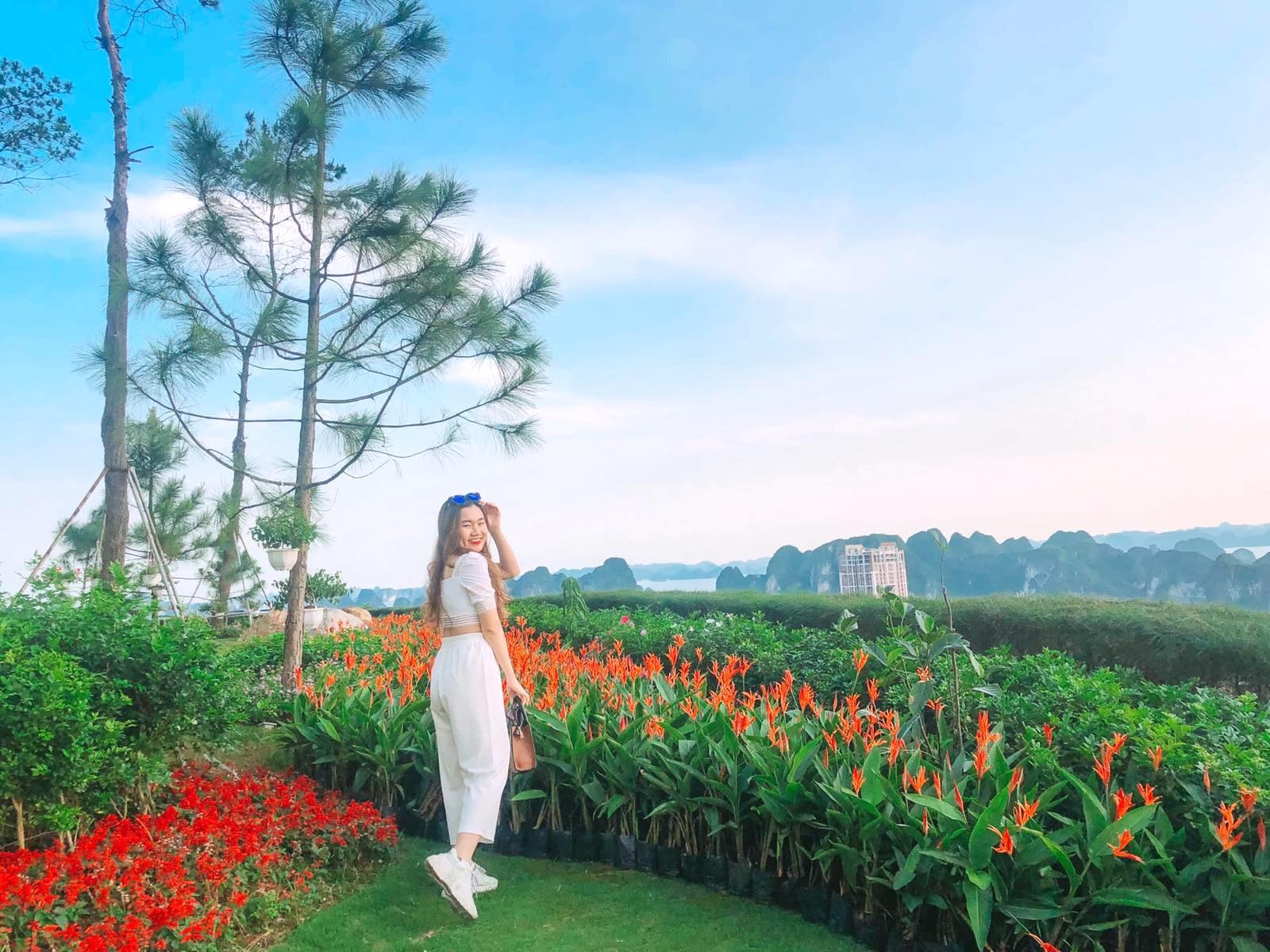 FLC Ha Long,  Quang Ninh anh 8