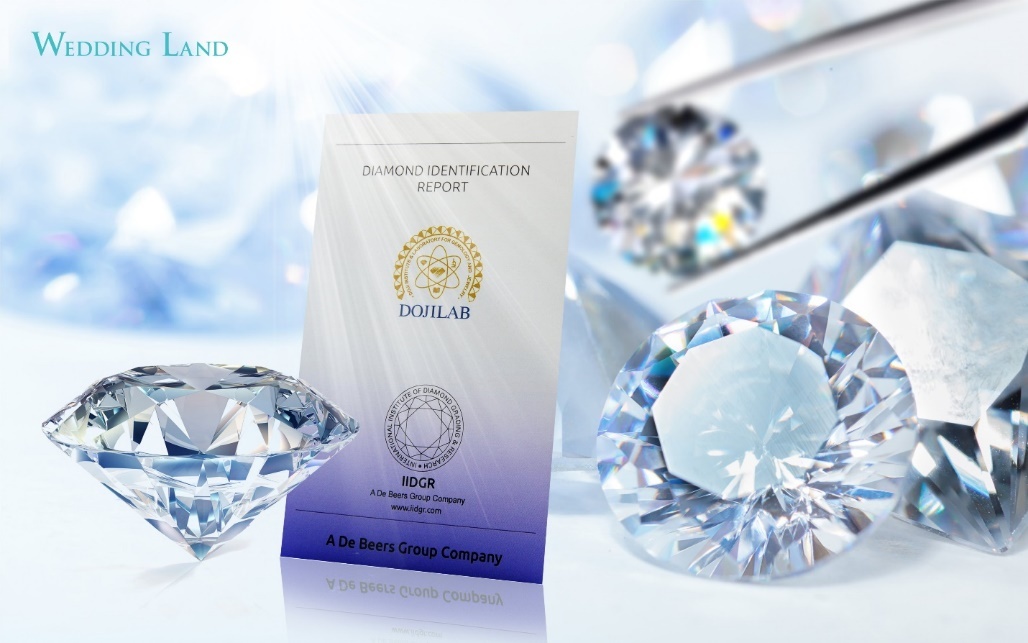 DOJI,  Wedding Land ảnh 2 DOJI,  Wedding Land anh 2