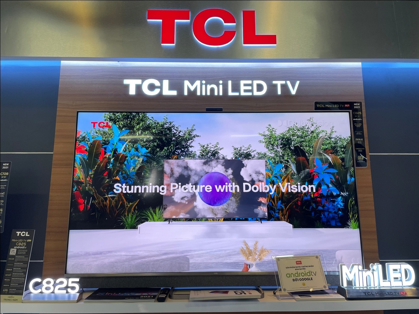 TCL,  TV TCL anh 5