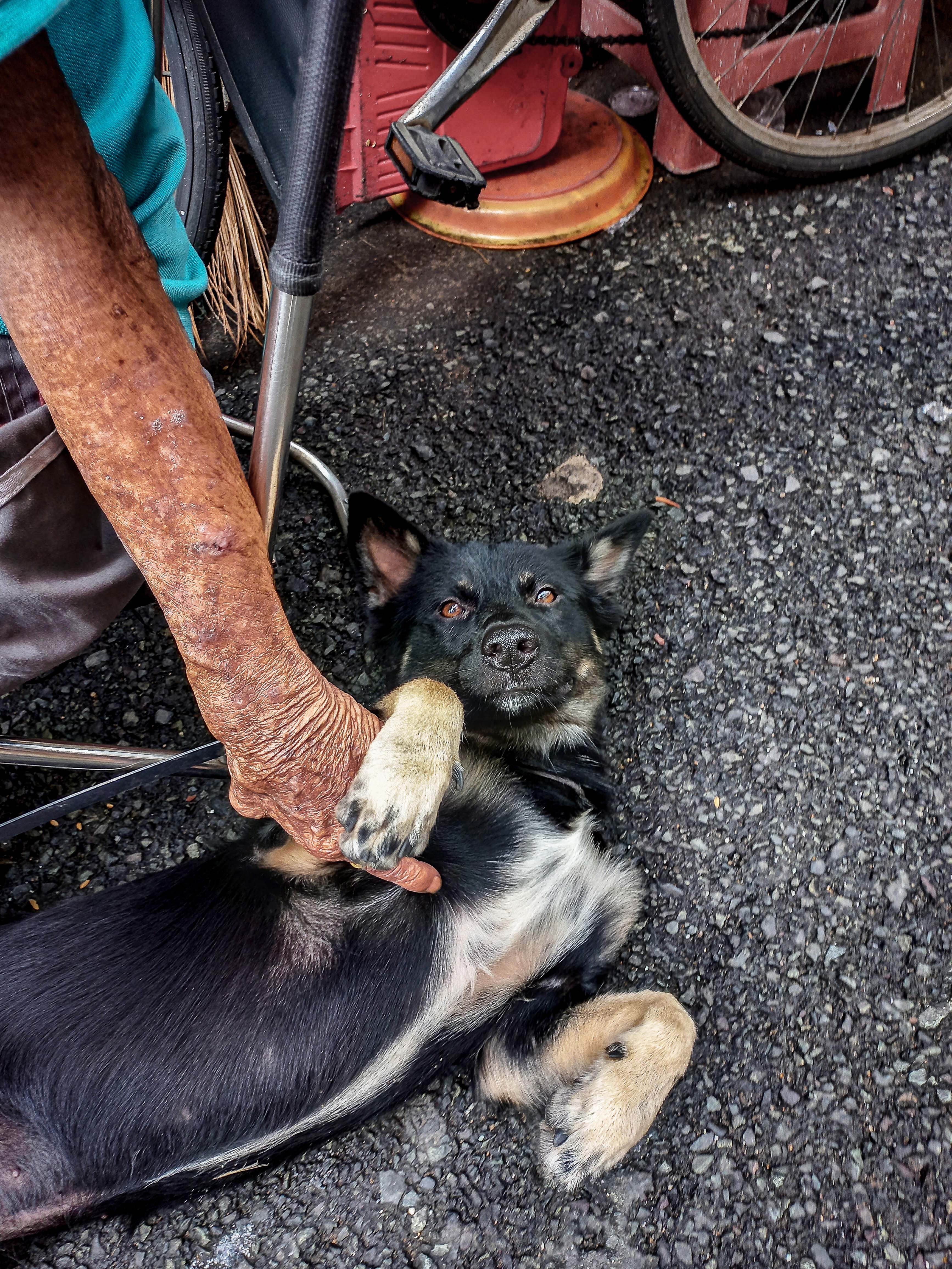 Samsung, Galaxy A32 ảnh 8 Samsung, Galaxy A32 anh 8