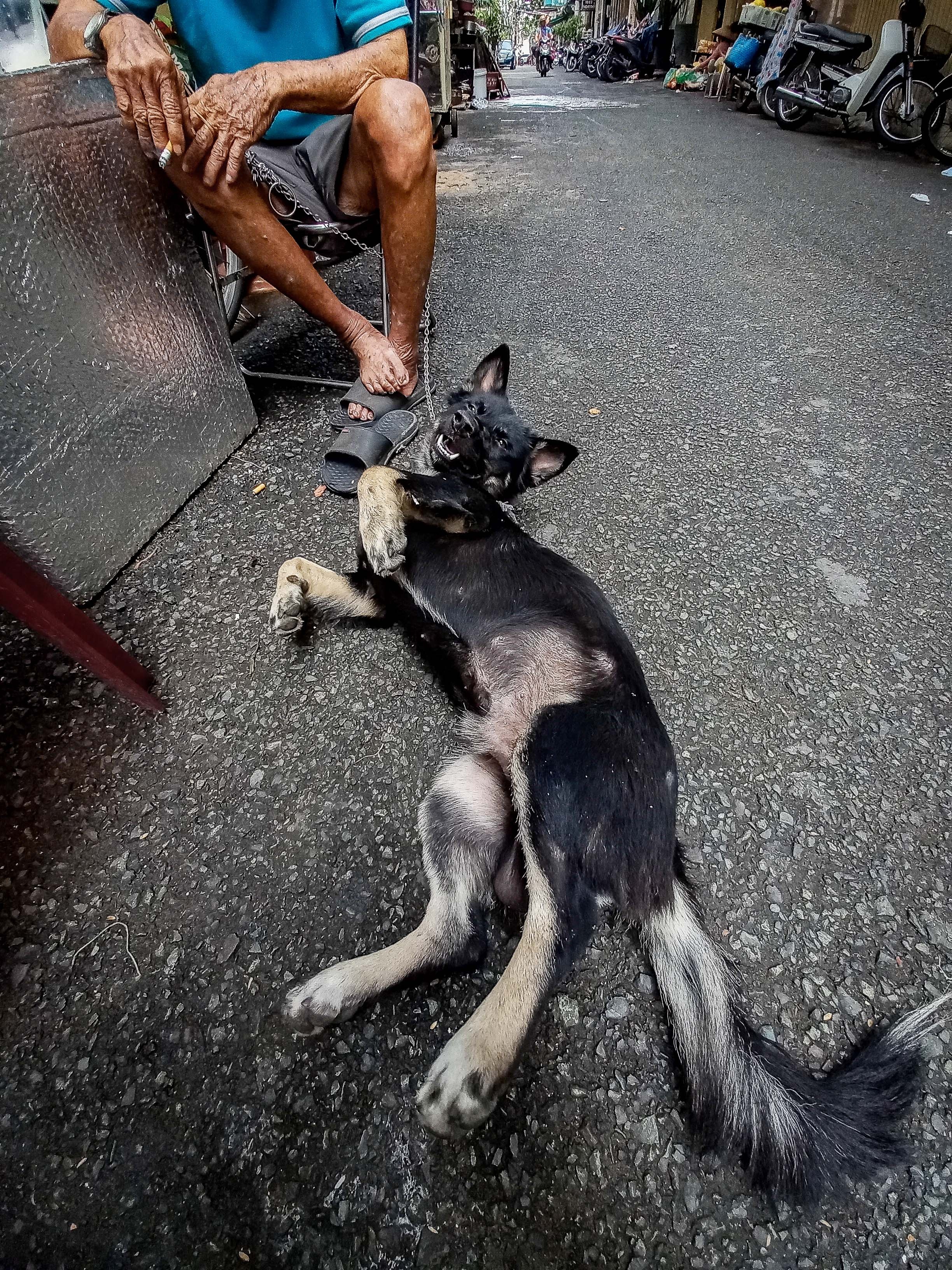 Samsung, Galaxy A32 ảnh 9 Samsung, Galaxy A32 anh 9