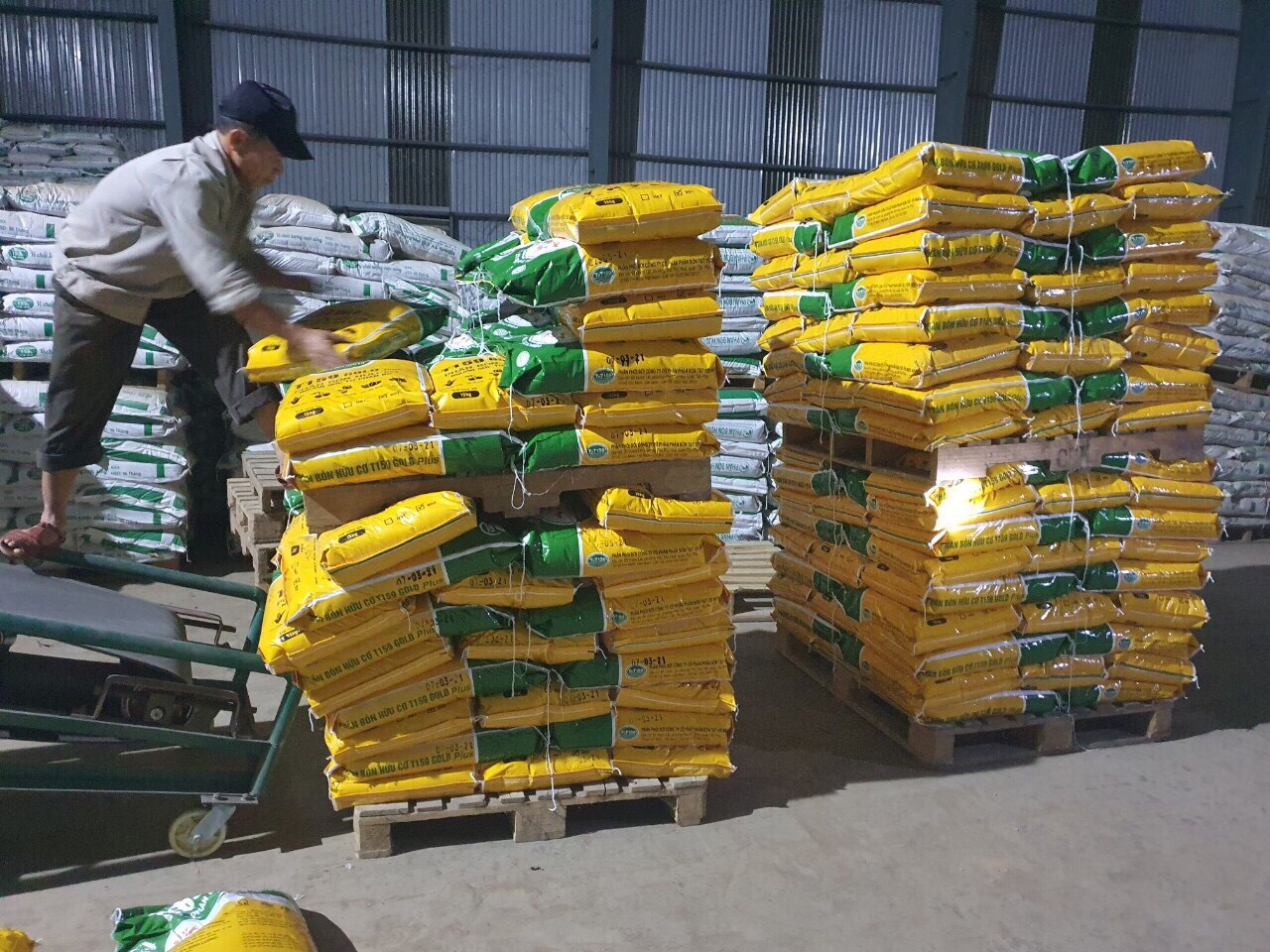 ong Pham Van Tam anh 4