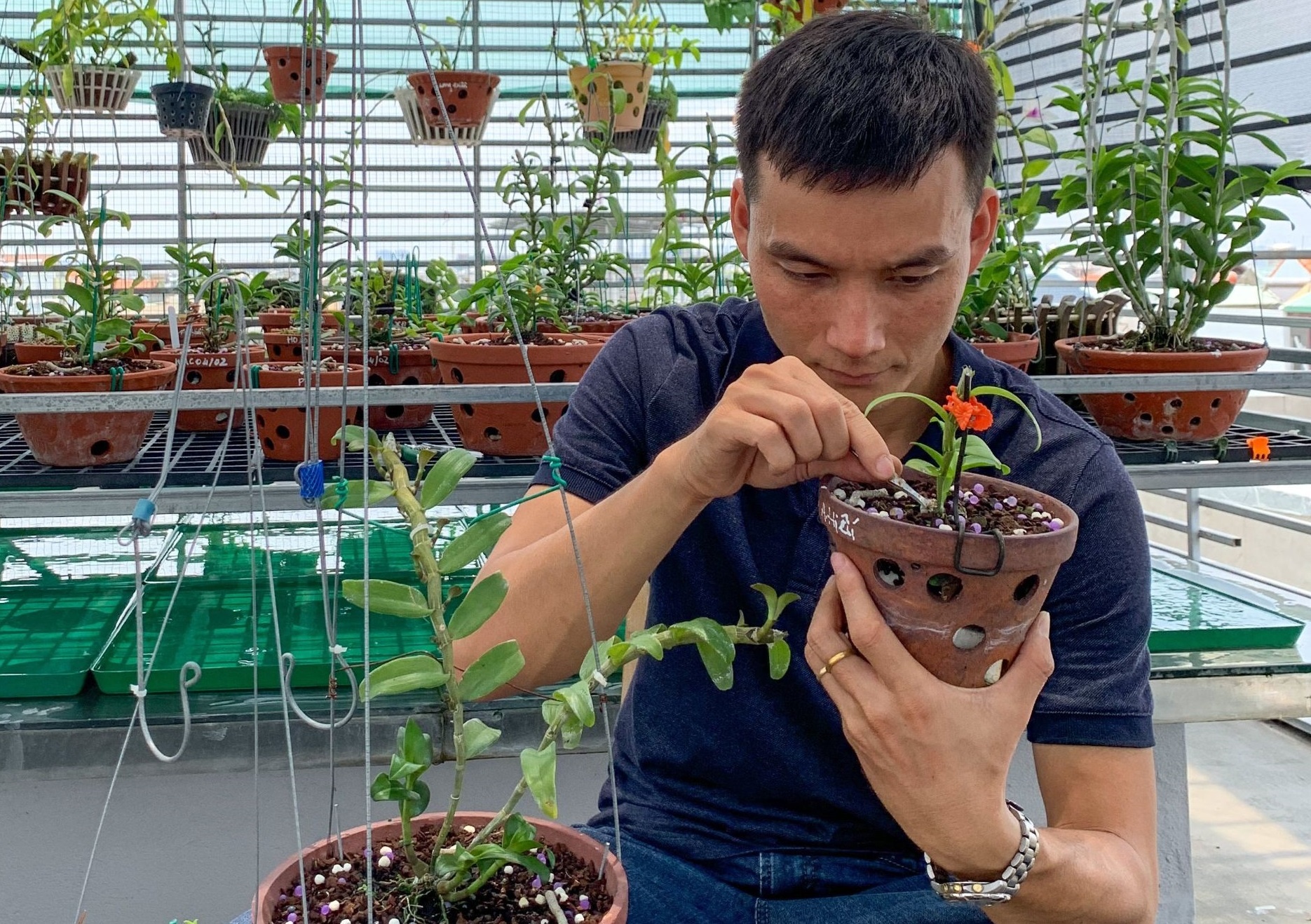 Cong ty hat giong tang doanh thu nho chien luoc marketing hieu qua hinh anh