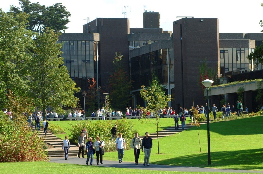 Capstone Việt Nam,  Đại học Limerick ảnh 5 Capstone Viet Nam,  Dai hoc Limerick anh 5
