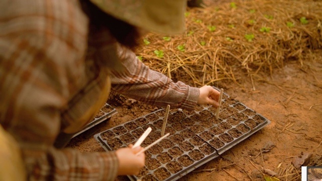 Tiger Crystal,  theo duoi dam me anh 1