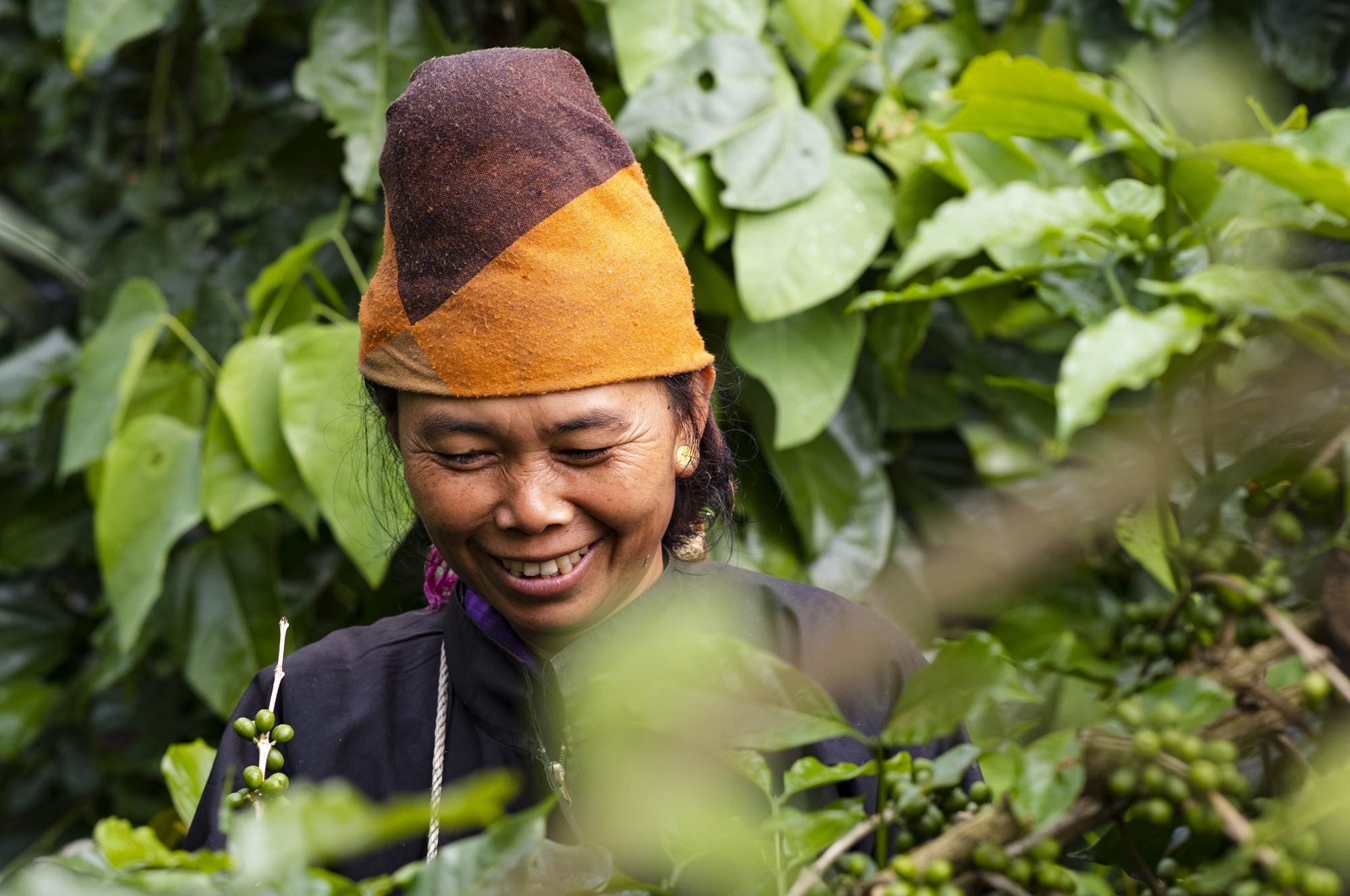 Minh Tien,  ca phe Son La anh 2