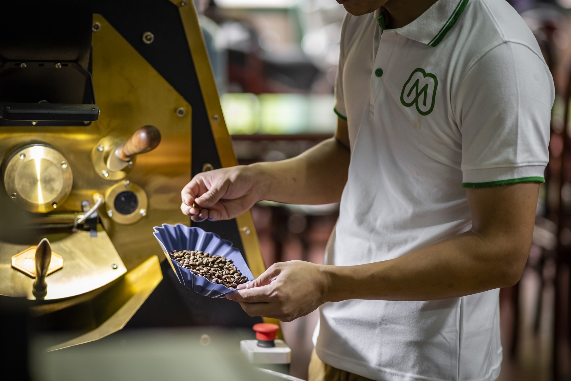 Minh Tien,  ca phe Son La anh 8