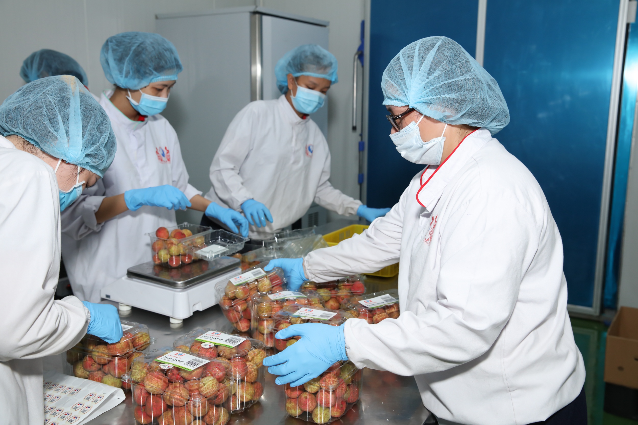 vai thieu Thanh Ha anh 5