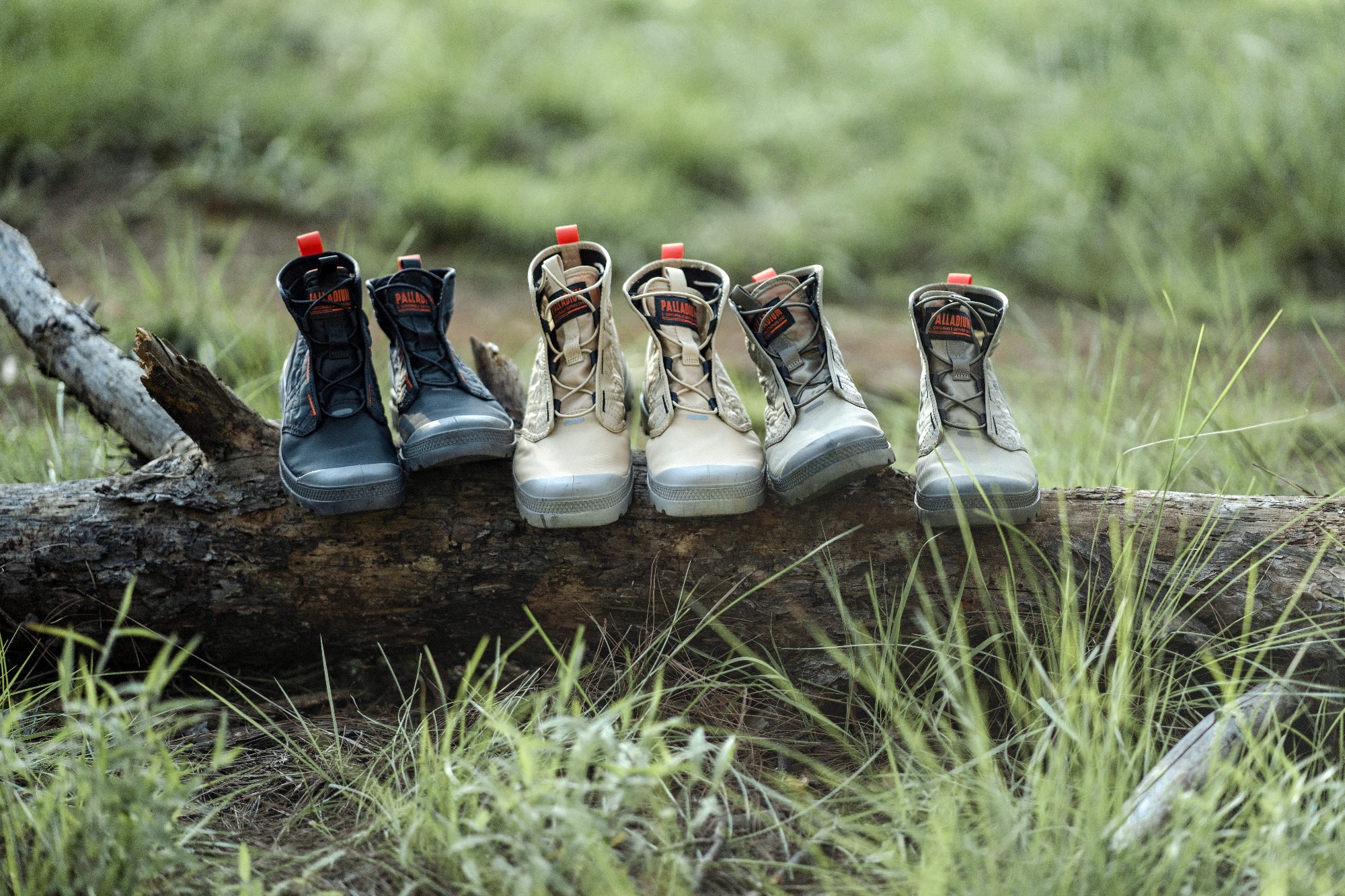 Palladium,  Pampa Travel Lite anh 6