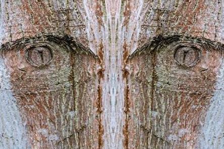 Nhung 'ket noi cam xuc' tu trien lam nhiep anh tai VCCA hinh anh