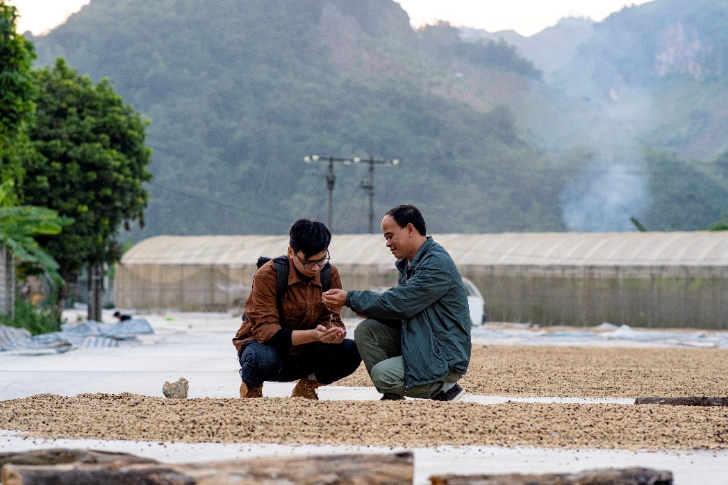 Minh Tien,  ca phe Son La anh 1