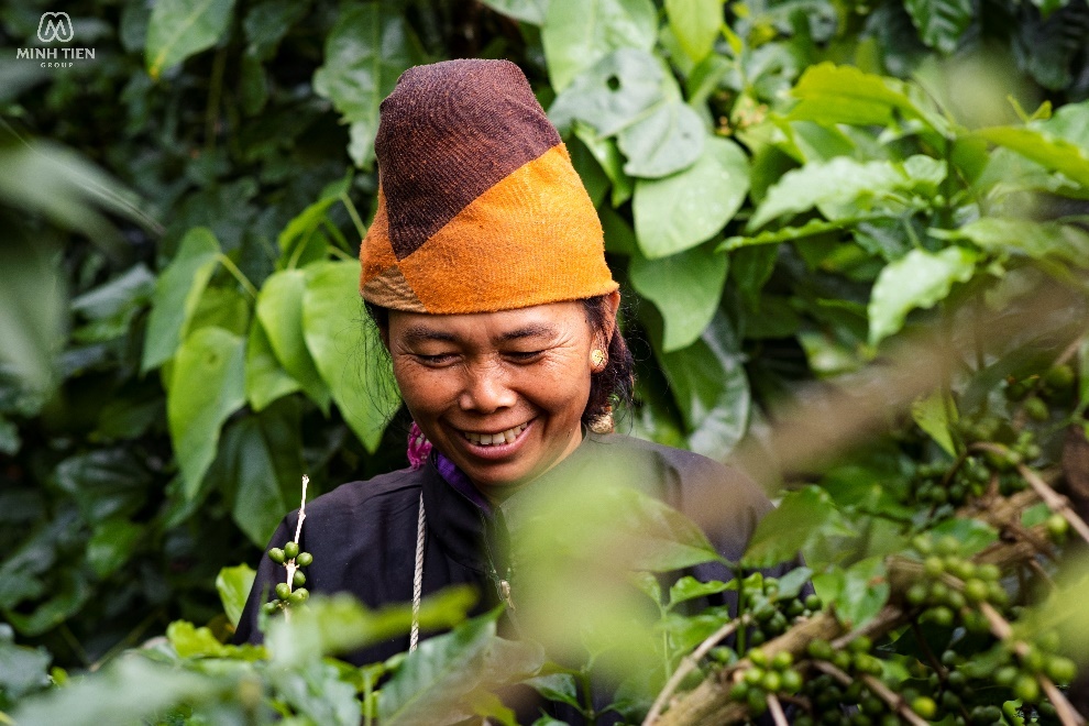 Minh Tien,  ca phe Son La anh 2