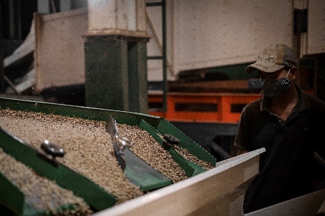 Minh Tien,  ca phe Son La anh 4