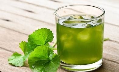 Nhung thao duoc ho tro ngua nhiet mieng hinh anh