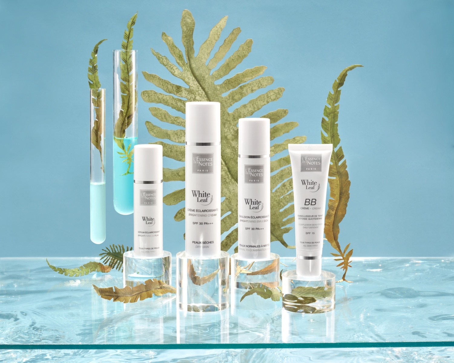 White Leaf,  my pham anh 3