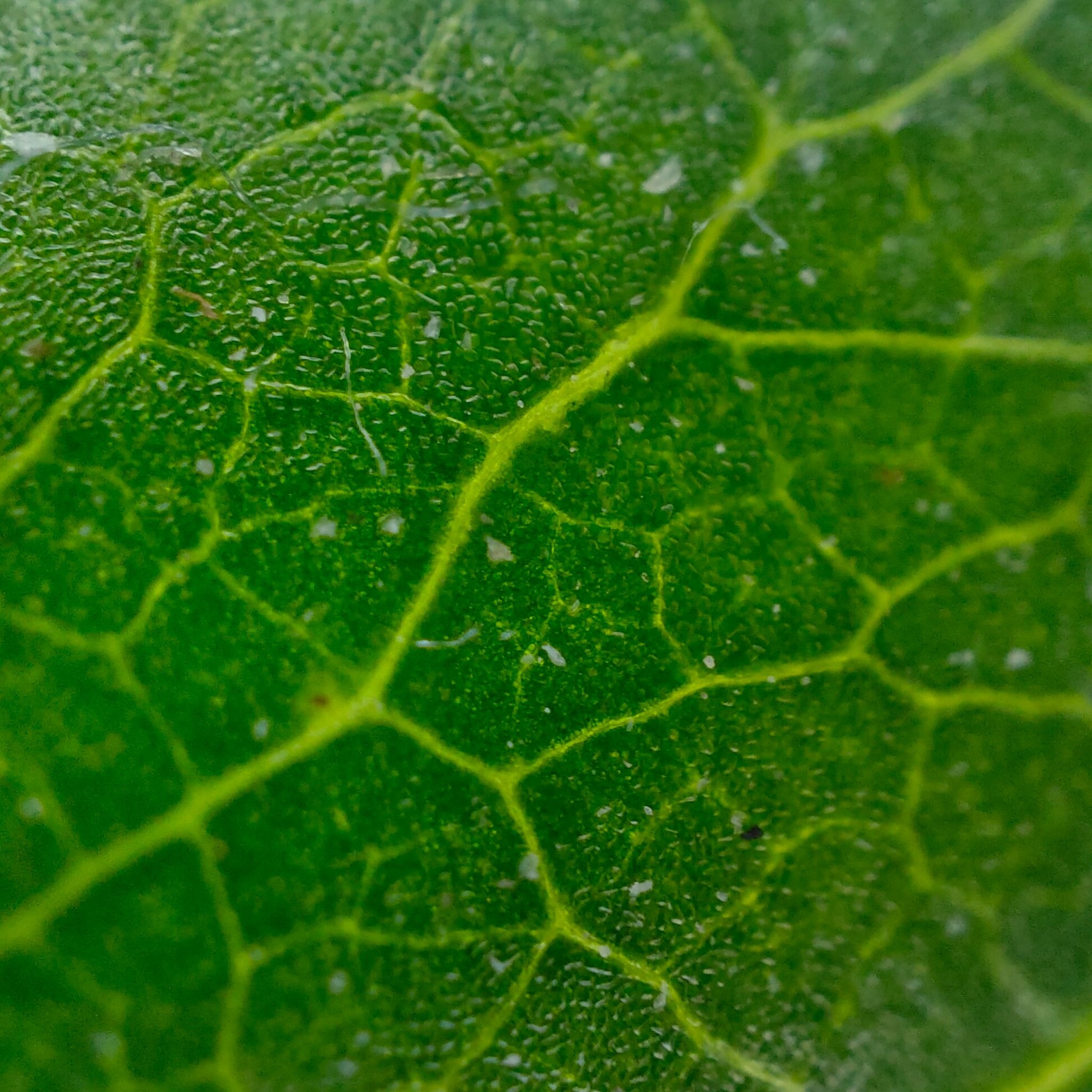 Find X3 Pro 5G anh 11