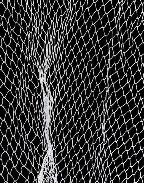 Park Hyatt Phu Quoc anh 1