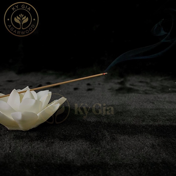 Ky Gia - Tram Huong cac anh 3