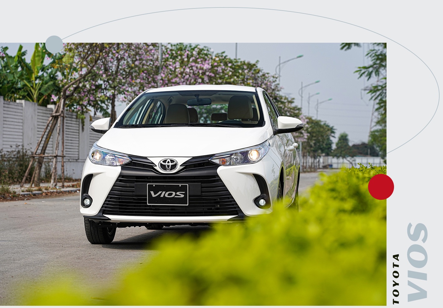 Toyota Vios anh 3