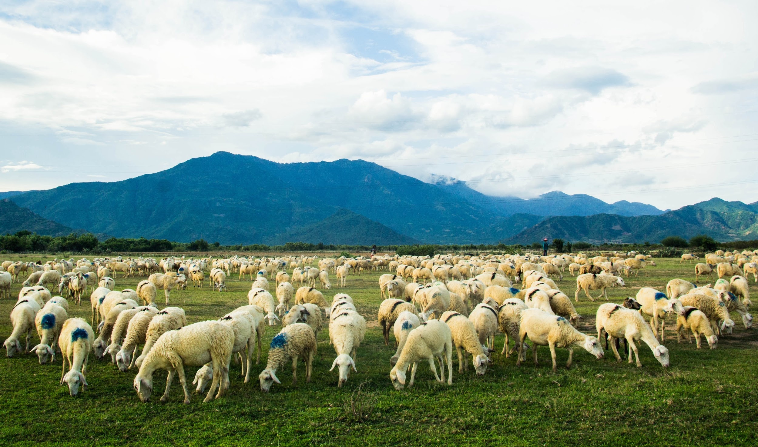 du lich he,  phan thiet anh 1