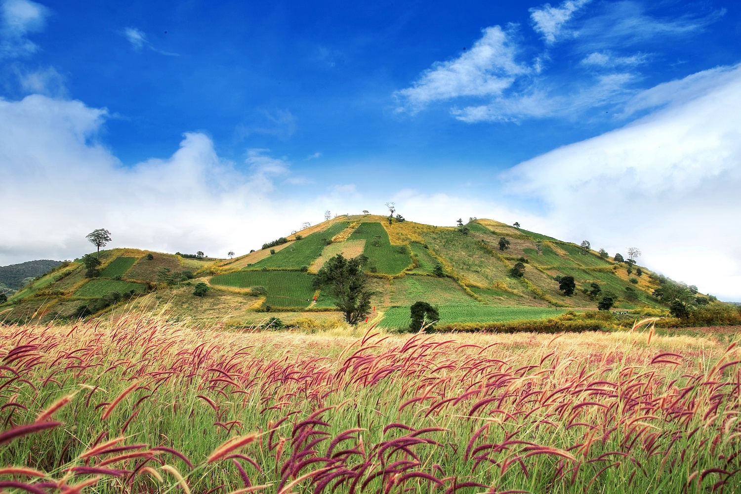 Hen nhau kham pha 6 diem den hap dan khi het dich hinh anh