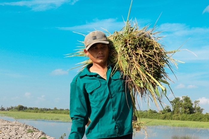 ST va no luc xay dung thuong hieu gao Viet hinh anh