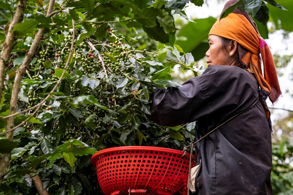 Bao ve moi truong - manh ghep hoan thien chuoi cung ung ben vung hinh anh