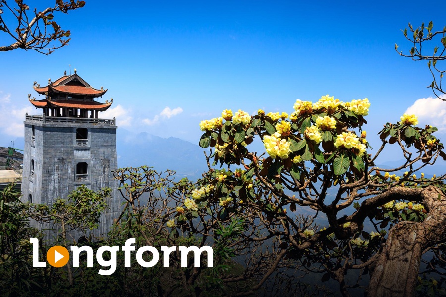 ‘Huyen thoai’ hoa do quyen tren dinh Fansipan hinh anh