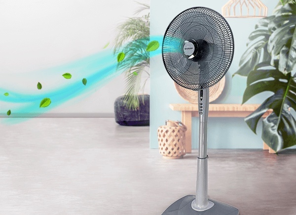 Lazada,  O nha san hang sale anh 2