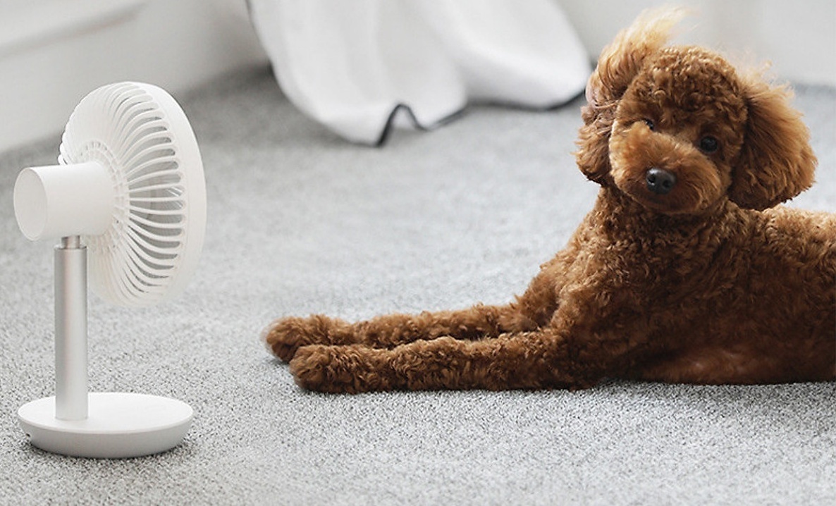 Lazada,  O nha san hang sale anh 3