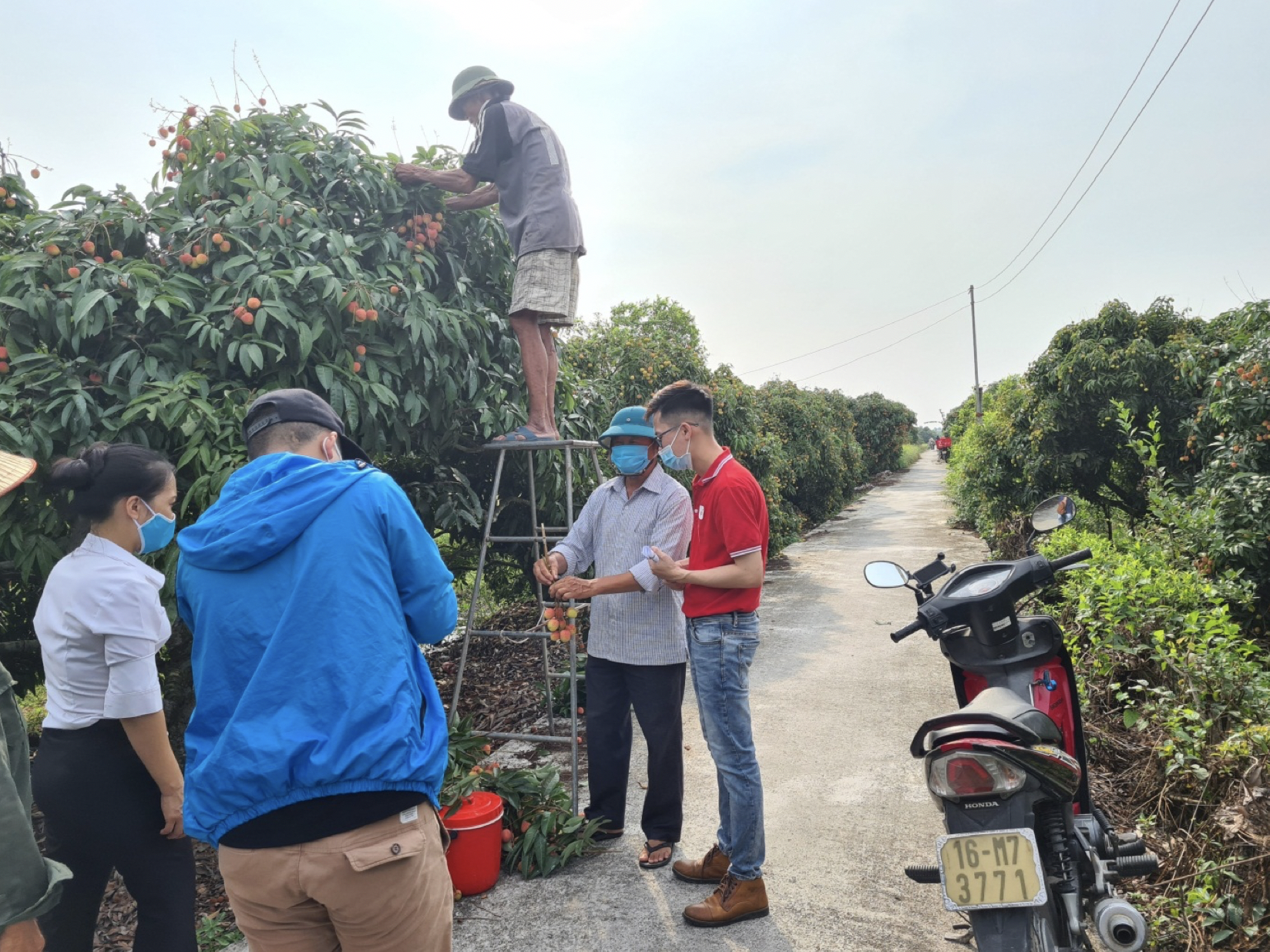 Sendo,  vai thieu Luc Ngan anh 2