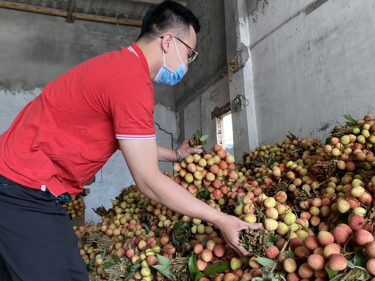 Nong dan Bac Giang livestream chot don vai thieu hinh anh