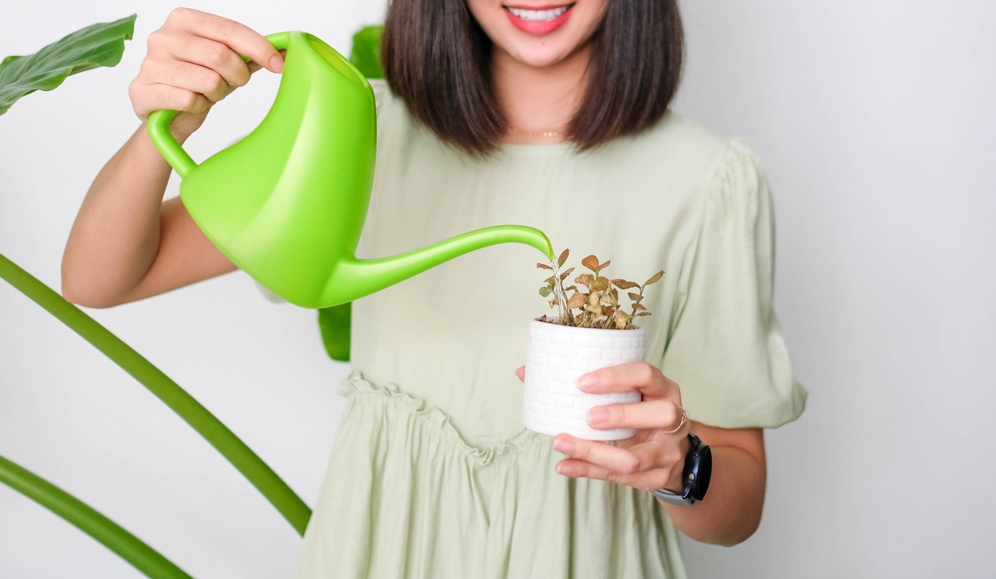 Lazada,  le hoi mua sam he anh 2