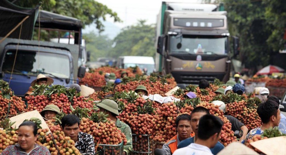 GrabConnect khoi dong, huong den tieu thu 300 tan vai thieu Bac Giang hinh anh