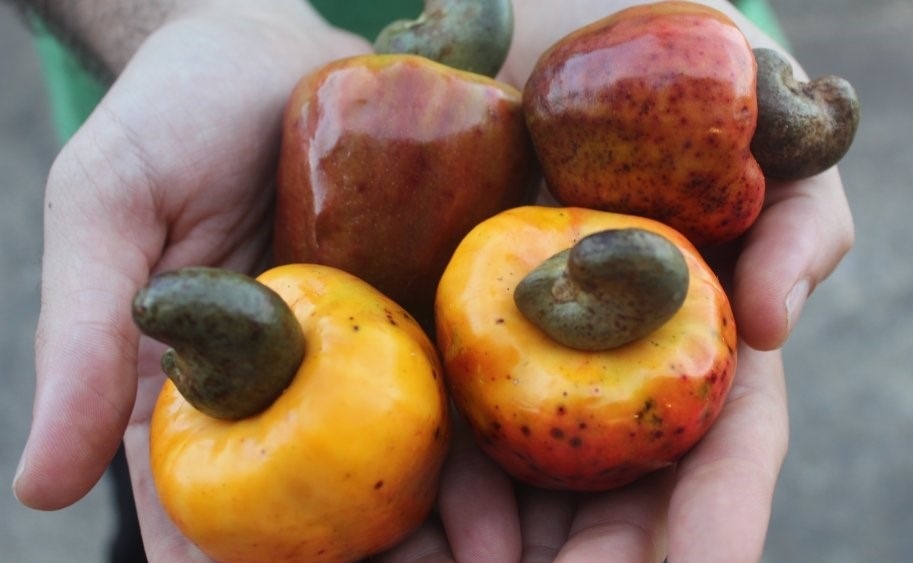 Nhung luu y khi 'nhap mon' thu mua nong san hinh anh