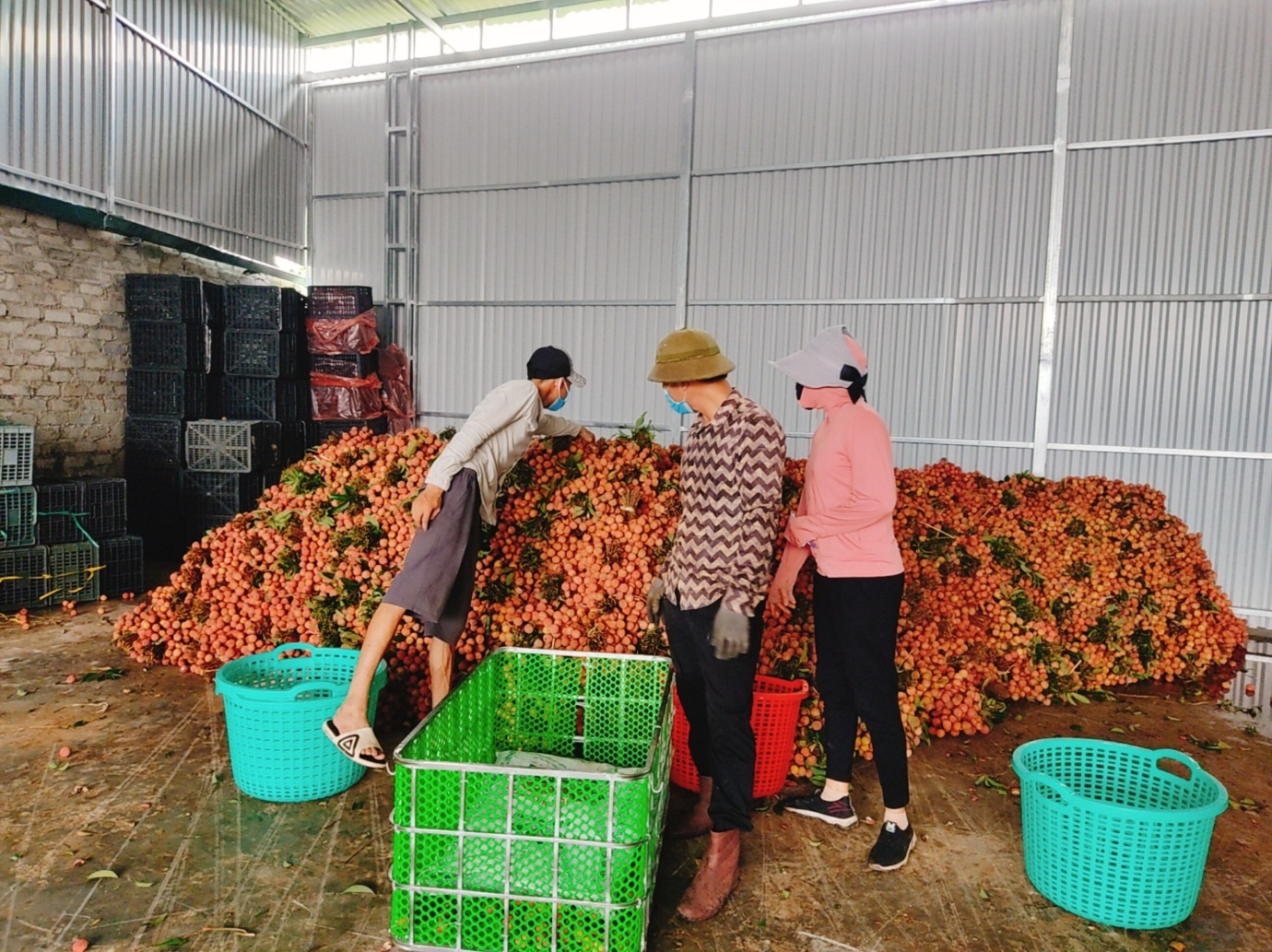 vai thieu Luc Ngan,  Sendo anh 1