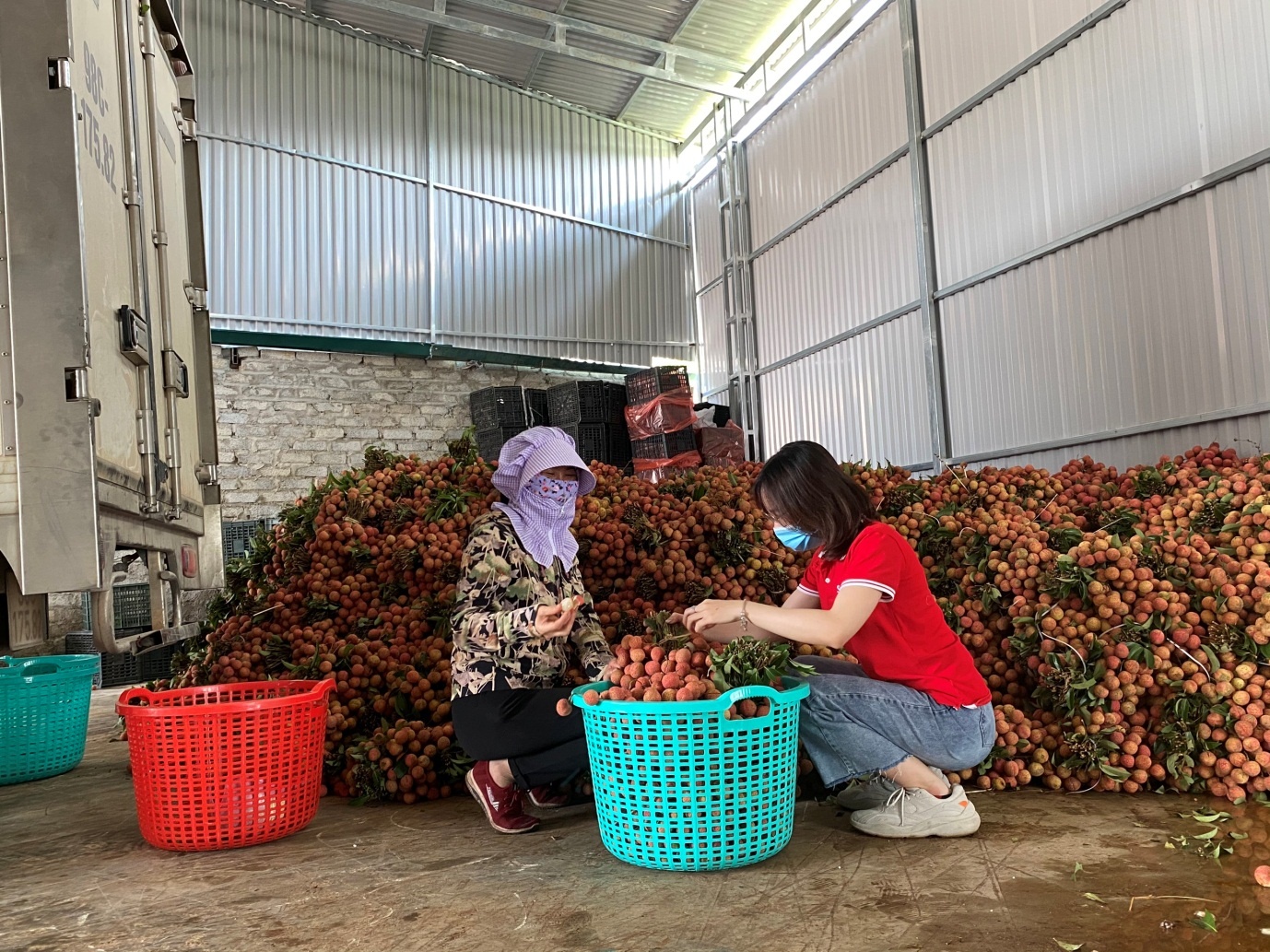 vai thieu Luc Ngan,  Sendo anh 2