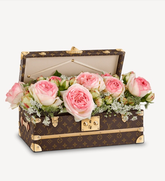 thương hiệu LV, rương LV ảnh 3 thuong hieu LV, ruong LV anh 3