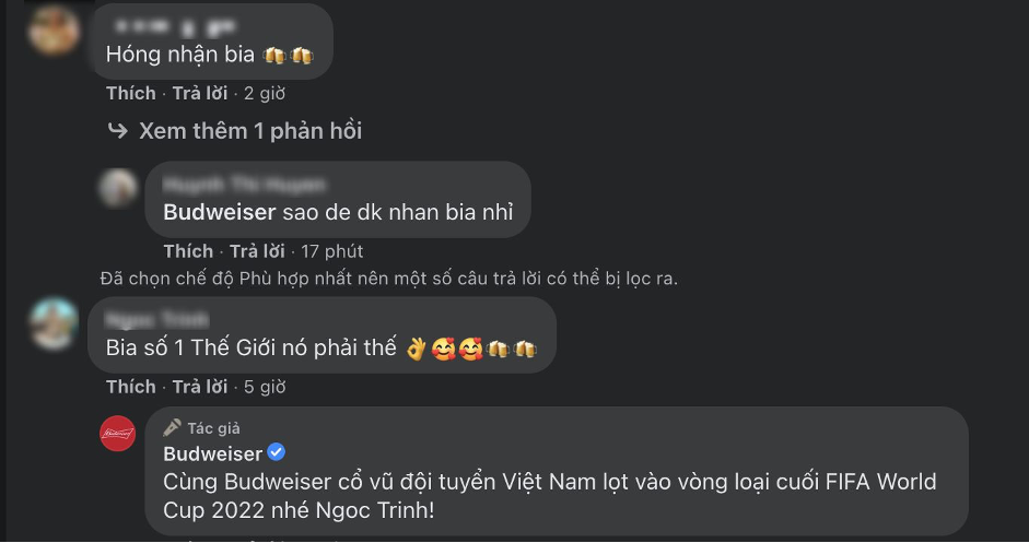 tuyen Viet Nam,  World Cup anh 3