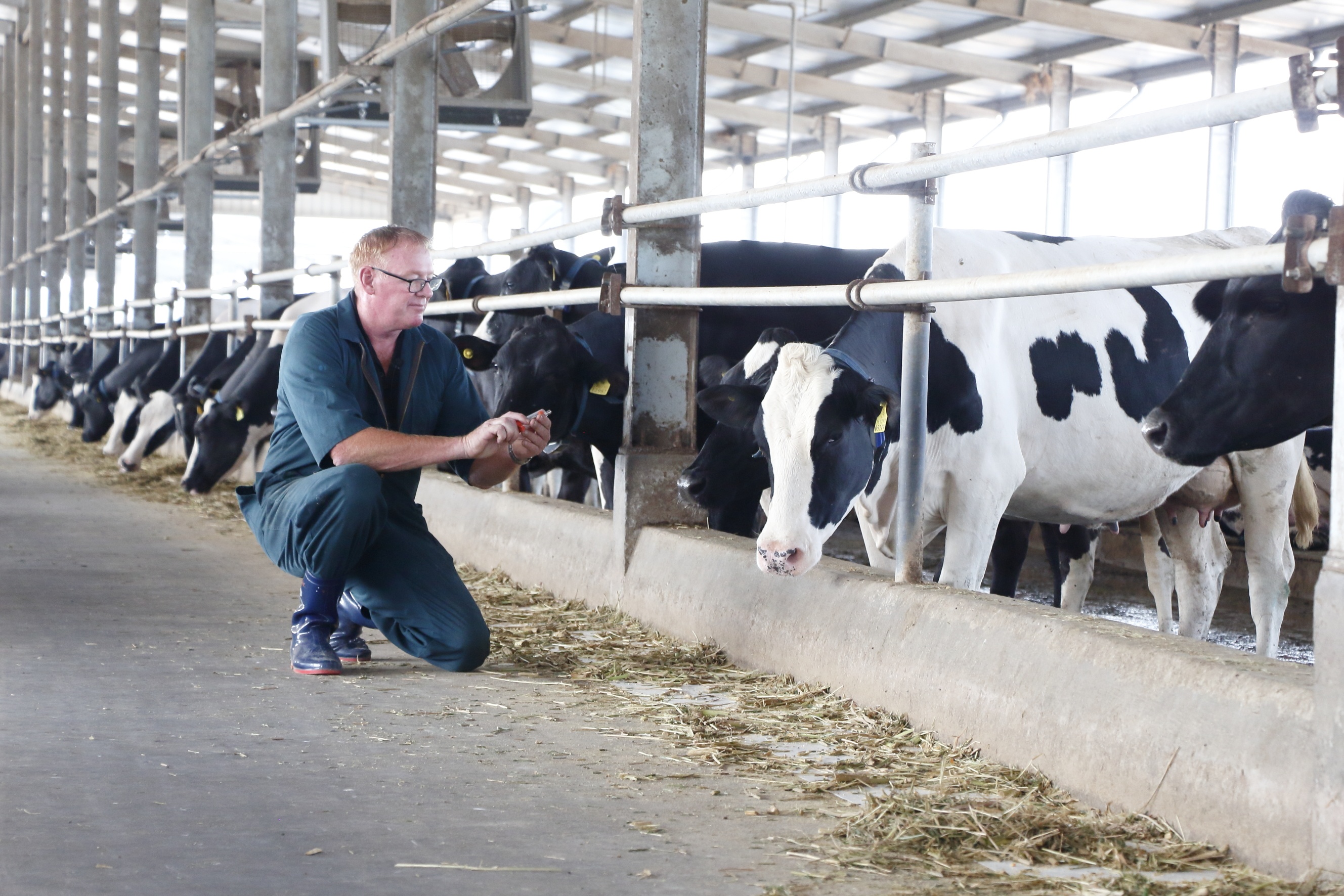 Tap doan Anova,  Nova Consumer Group anh 2