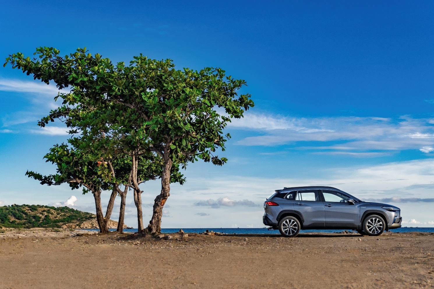 bao ve moi truong anh 2