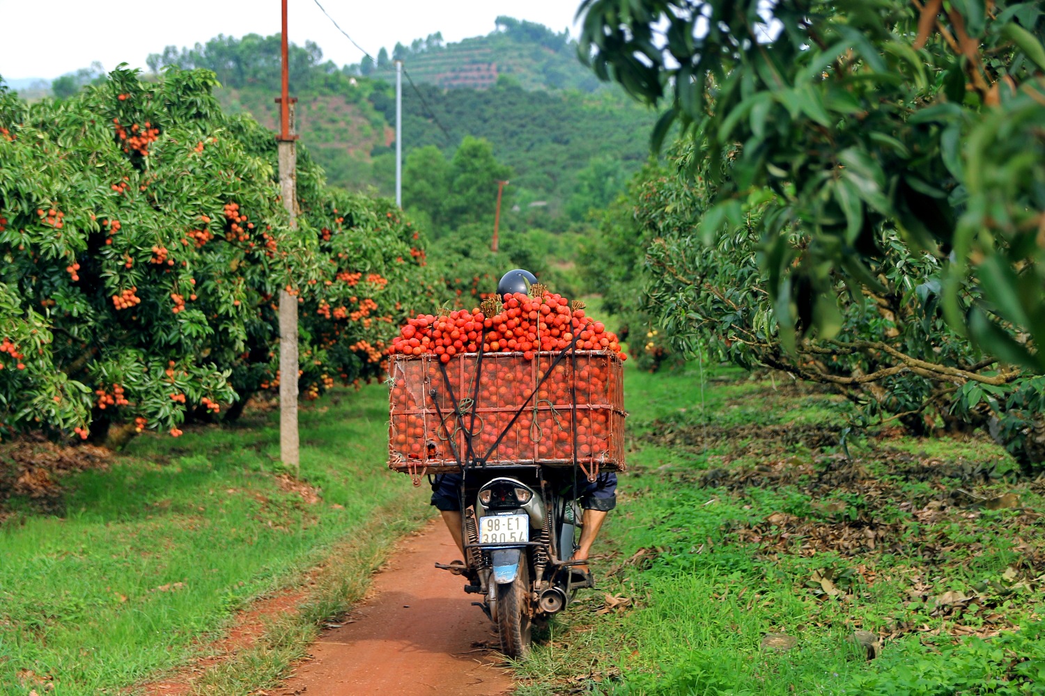 Grab,  GrabConnect anh 11