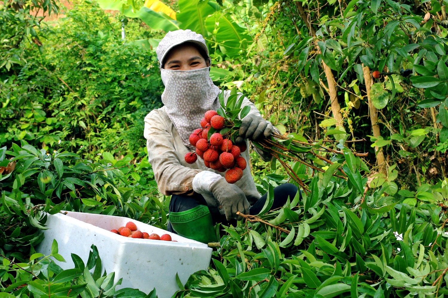 Grab,  GrabConnect anh 3