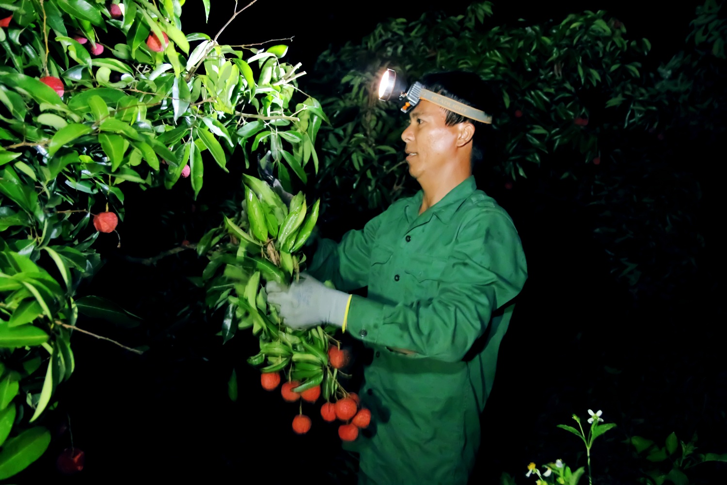 Grab,  GrabConnect anh 5