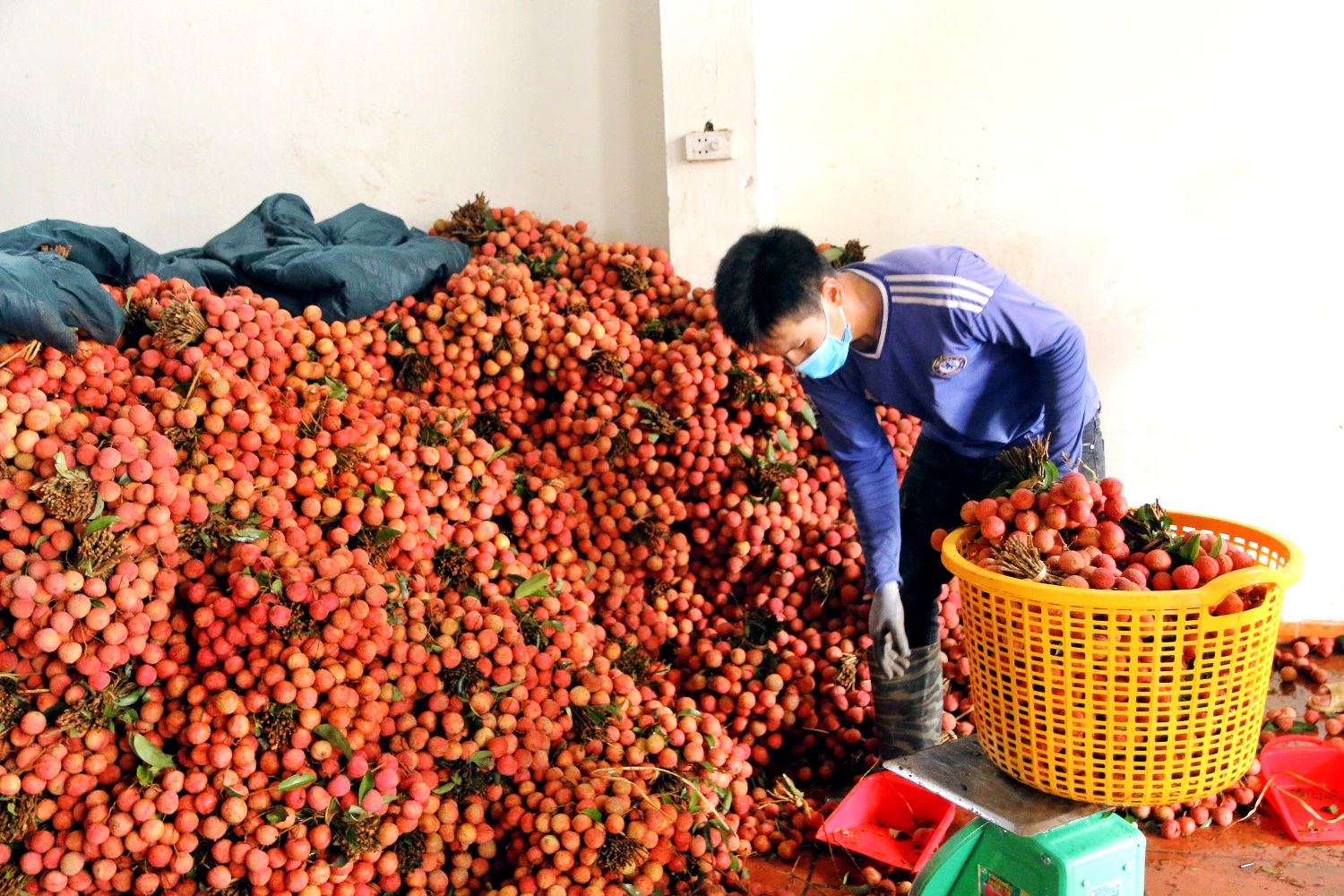 Grab,  GrabConnect anh 7