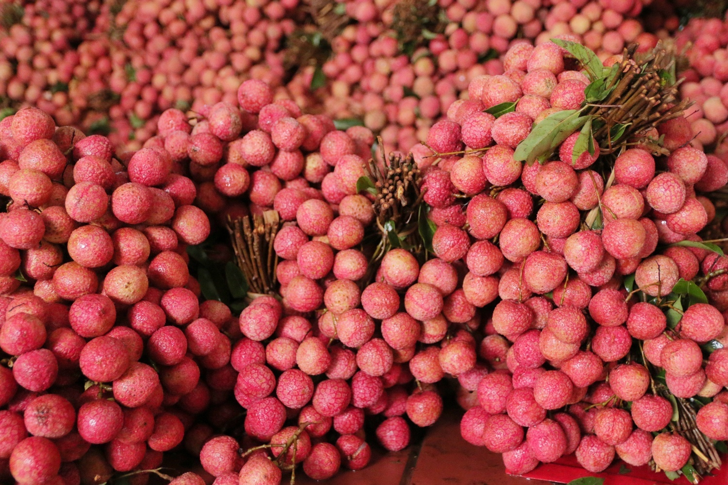 Grab,  GrabConnect anh 1